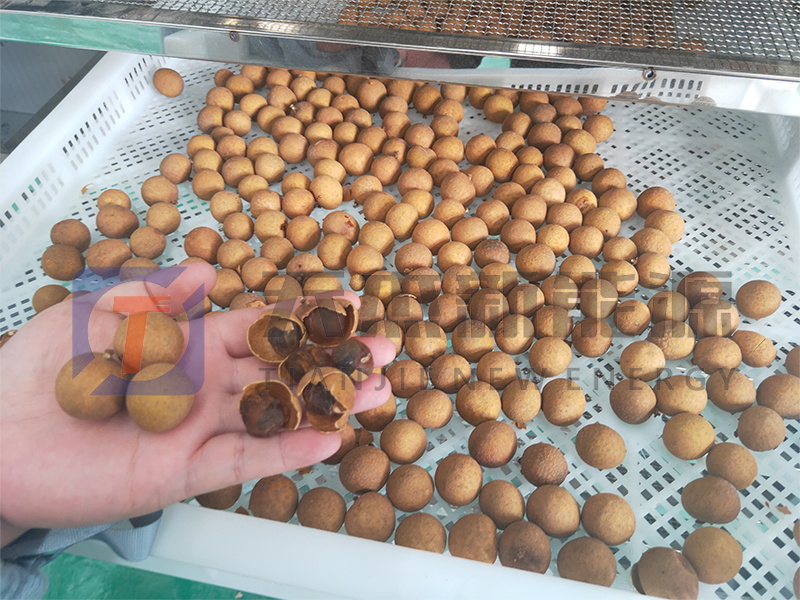 天杰新能源?；葜蔟堁酆娓蓹C(jī)開機(jī)大吉